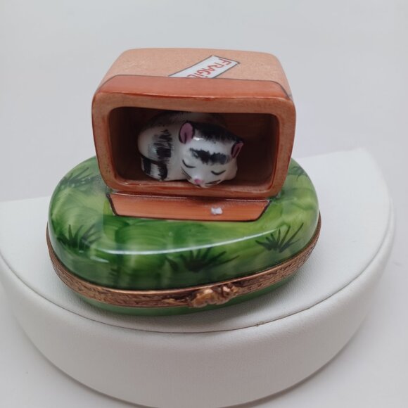 Limoges France Porcelain Cat in Box On Green Grass Trinket Box Peint Main - Picture 2 of 14